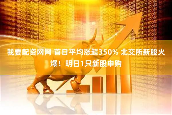 我要配资网网 首日平均涨超350% 北交所新股火爆！明日1只新股申购